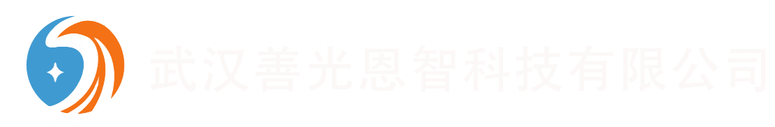 武汉善光恩智科技有限公司